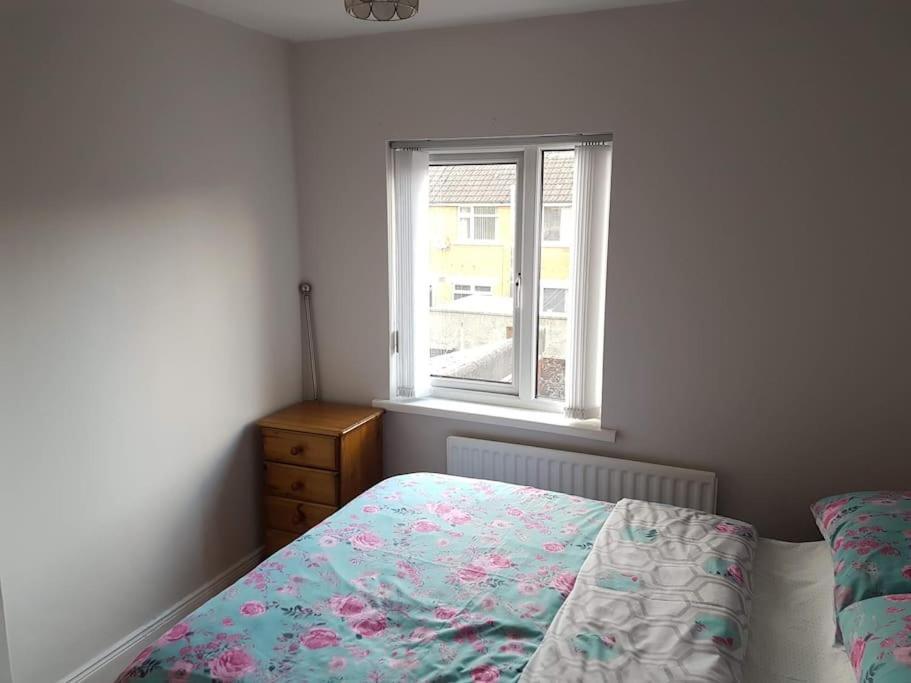 Darcy's Stopover Nitb Approved Hébergement de vacances Belfast